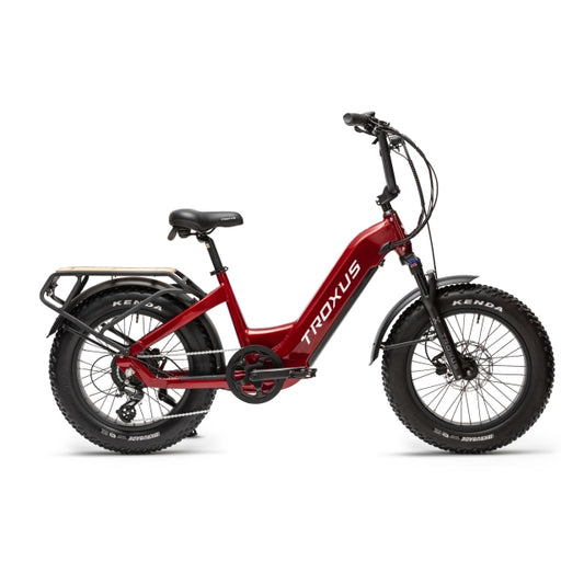 Lynx Plus 20" Fat Tire E-Bike