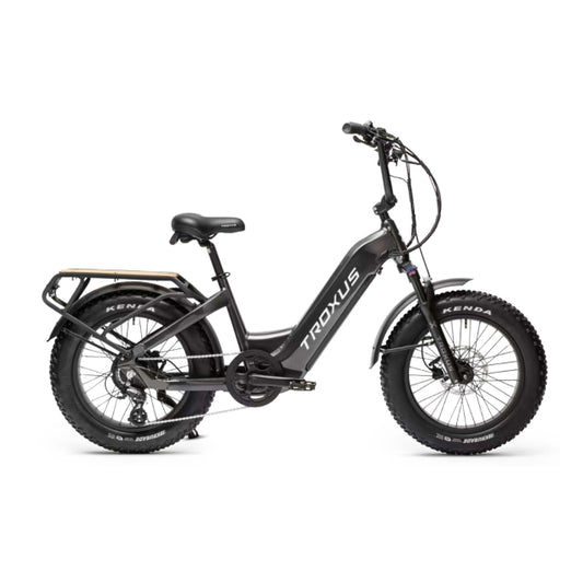 Lynx Plus 22" Fat Tire E-Bike